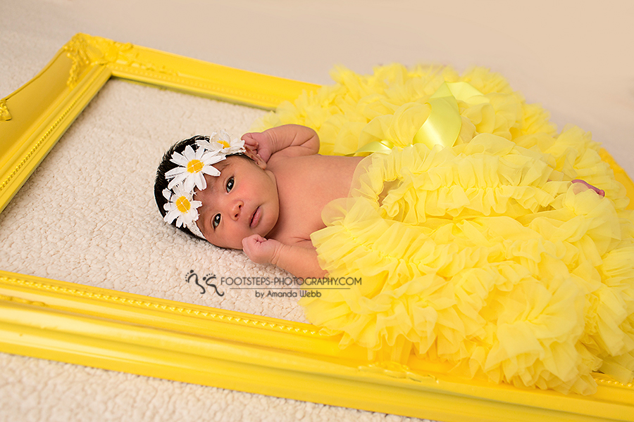 Miis D Vacaville Newborn photographer