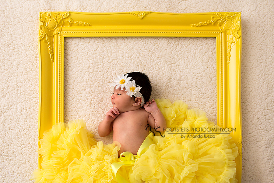 Miis D Vacaville Newborn photographer