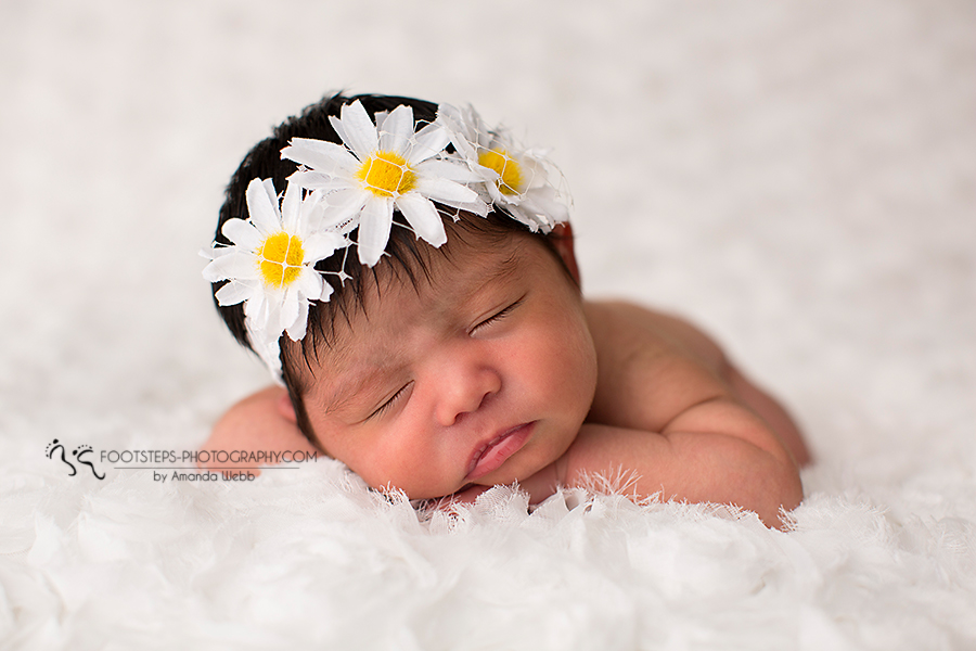 Miis D Vacaville Newborn photographer