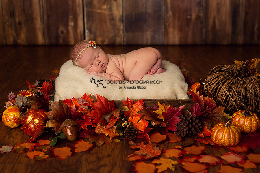 fall leaves vacaville newborn