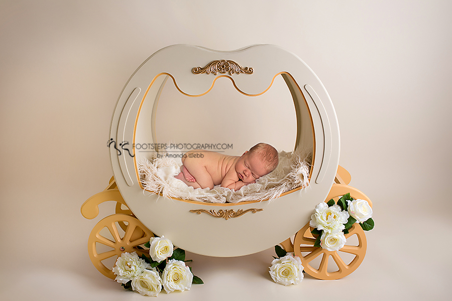 princess carriage newborn vacaville photography