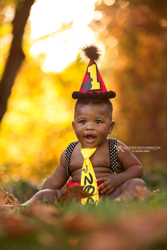 First Birthday Portrait session Vacaville Mickey