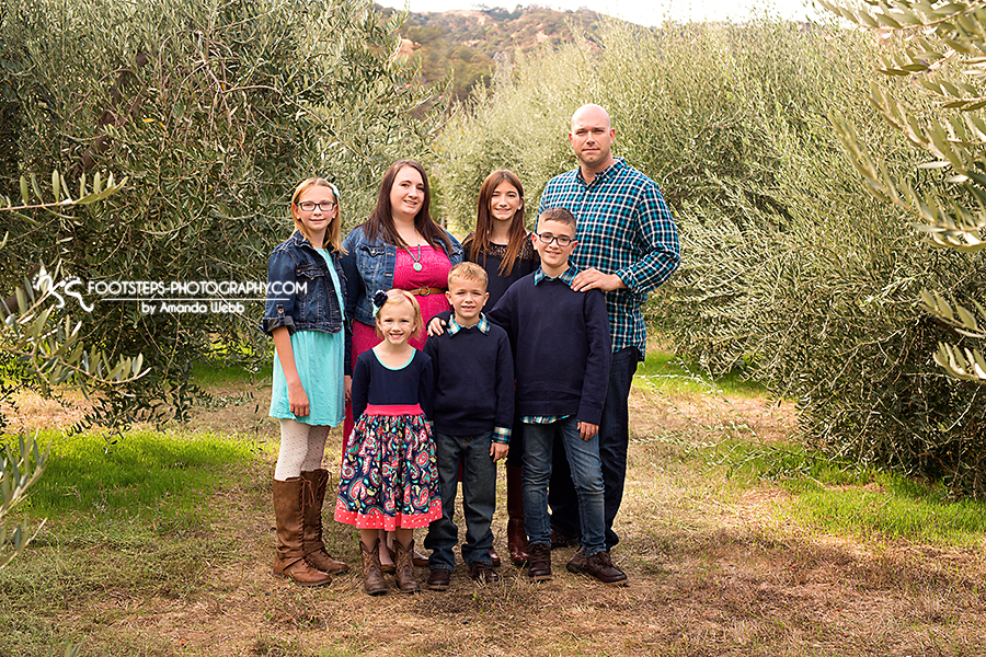 vacaville family olive grove