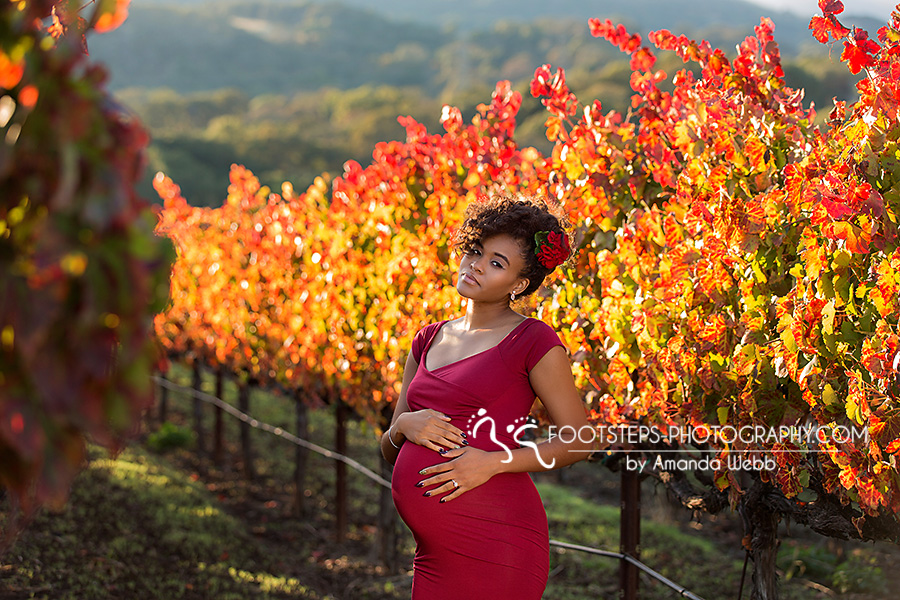 fall napa maternity photo session