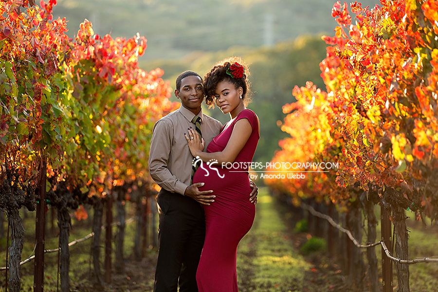 Fall Napa Maternity Session vineyard